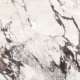 Daltile - Calacatta Aries